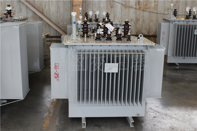 安顺S20-800kVA/10kV/0.4kV变压器